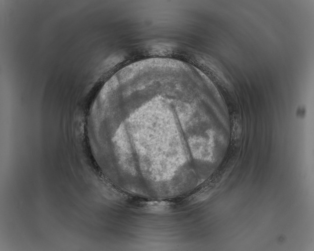 X0000094420363200712061056