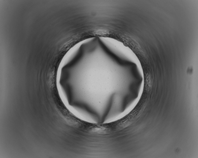 X0000094420364200712061056