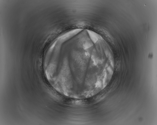 X0000094420365200712061056