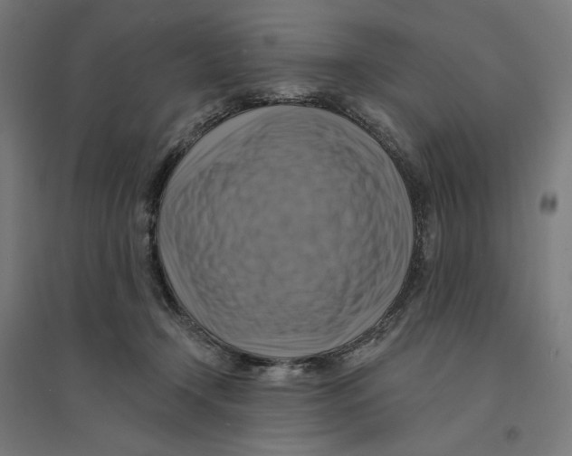 X0000094420366200712061056