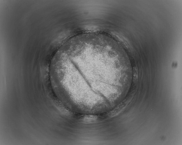 X0000094420369200712061057