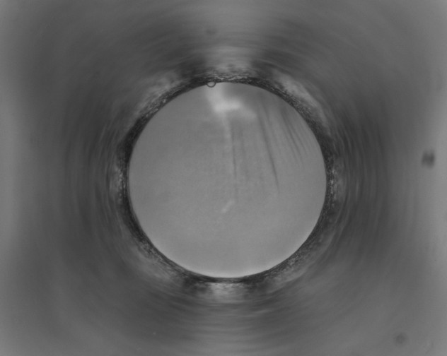 X0000094420371200712061057