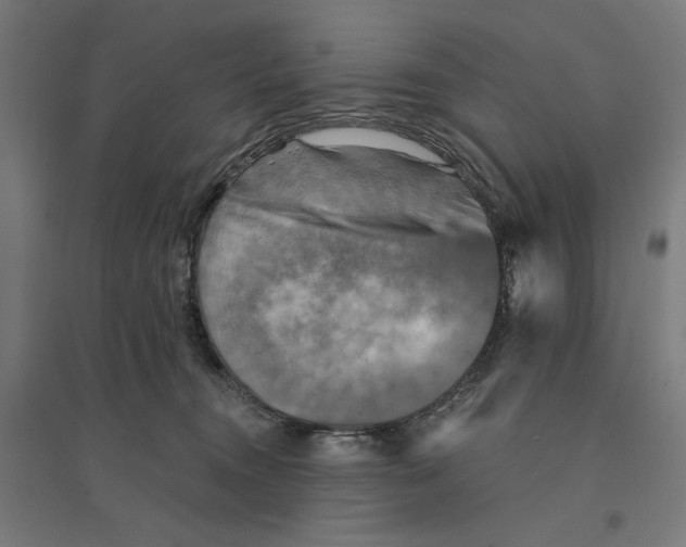 X0000094420372200712061057