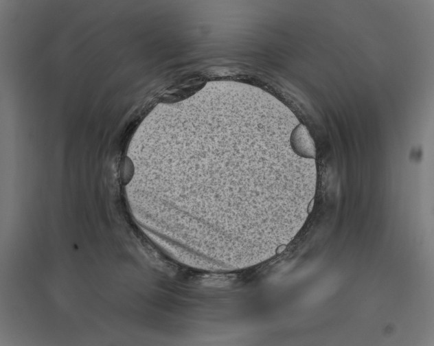 X0000094420373200712061057