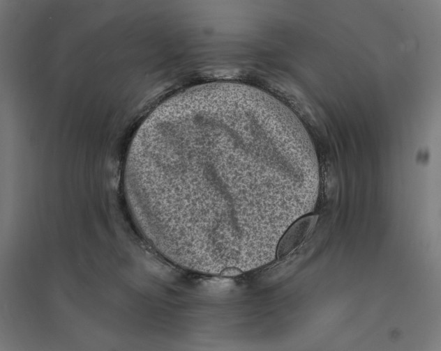 X0000094420374200712061057