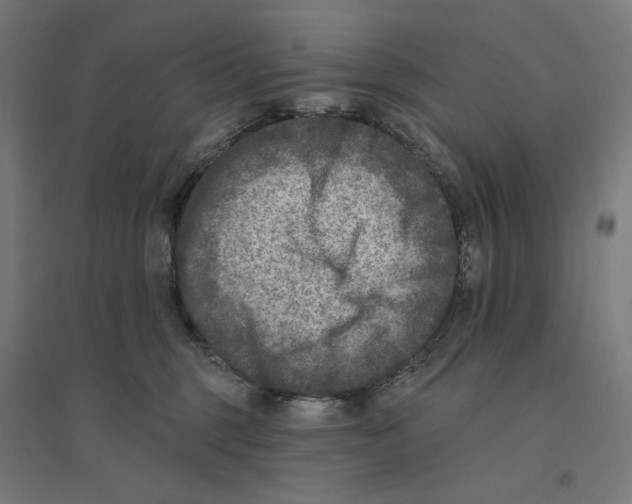 X0000094420375200712061057