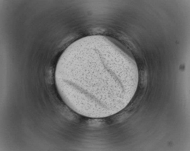 X0000094420378200712061057