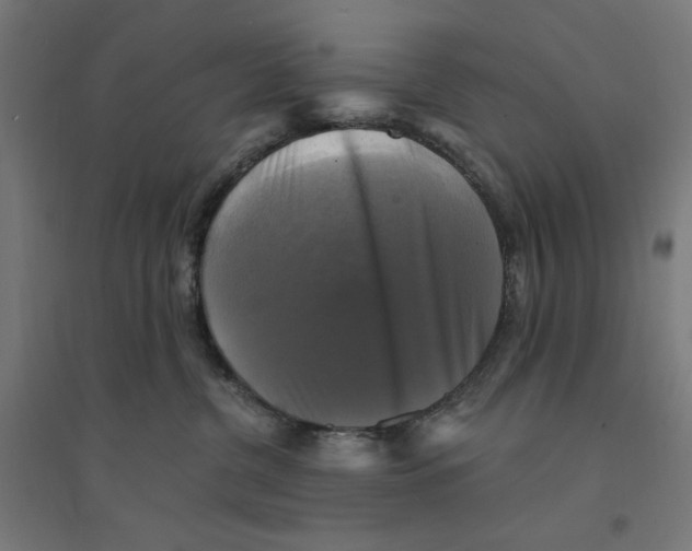 X0000094420380200712061057