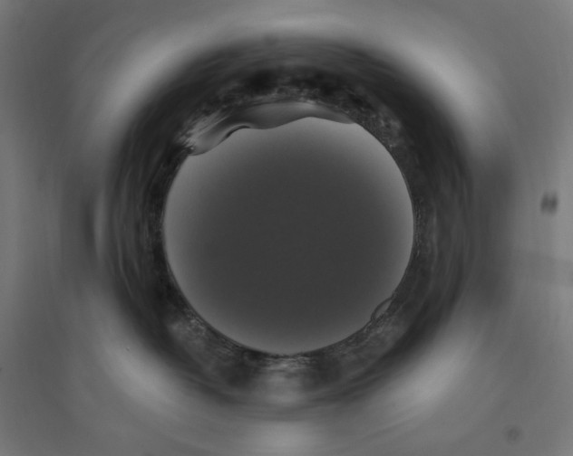 X0000094420382200712061057