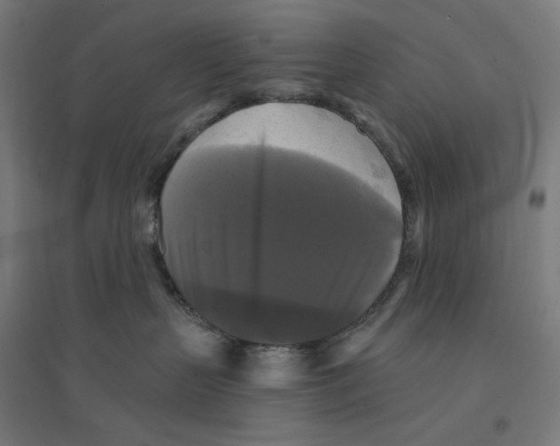 X0000094420383200712061057