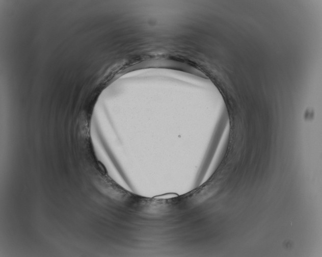 X0000094420384200712061057