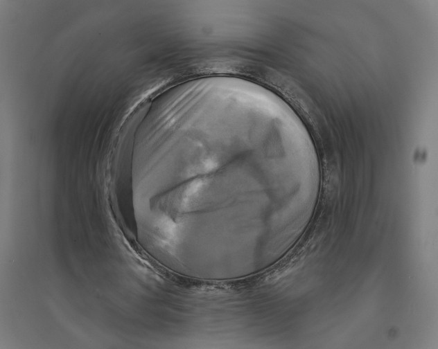 X0000094420386200712061056