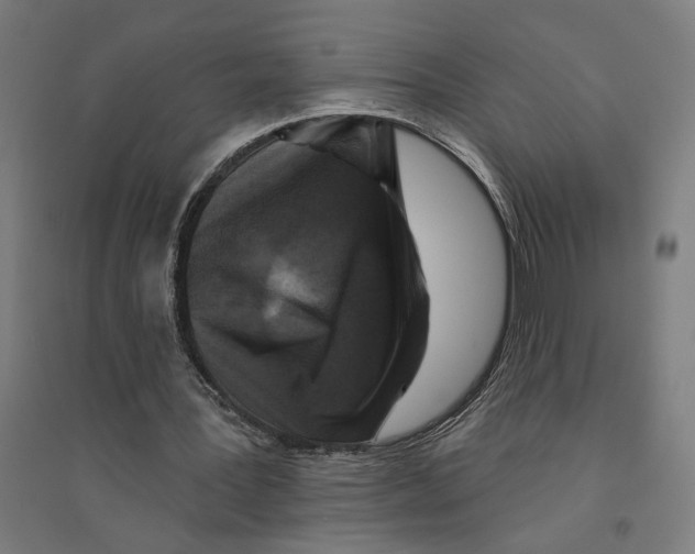 X0000094420387200712061056