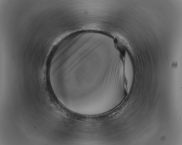 X0000094420388200712061056