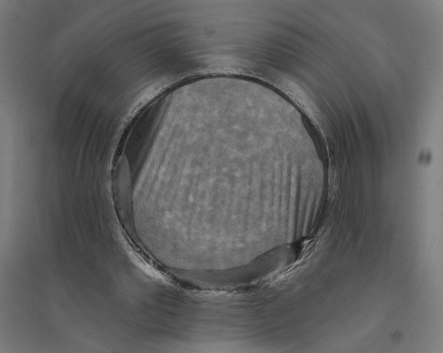 X0000094420389200712061056