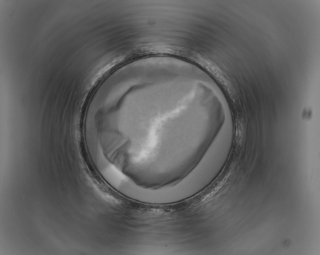 X0000094420390200712061056