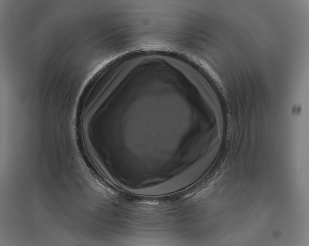 X0000094420391200712061056