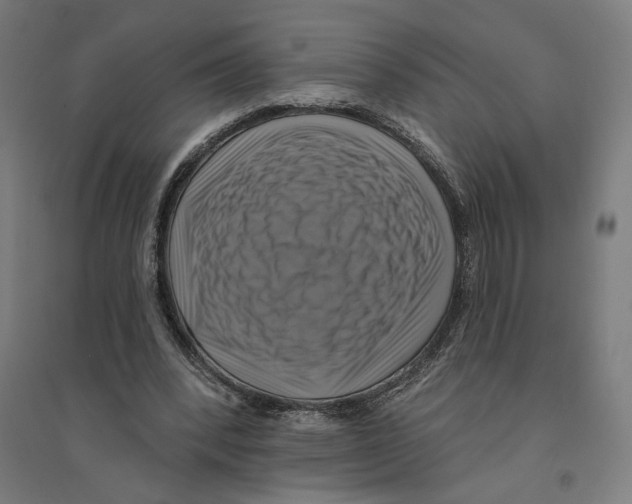 X0000094420392200712061056