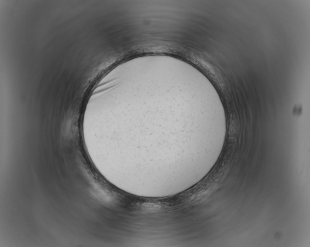 X0000094420394200712061056