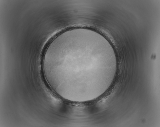 X0000094420395200712061056