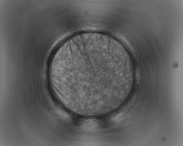 X0000094420396200712061056