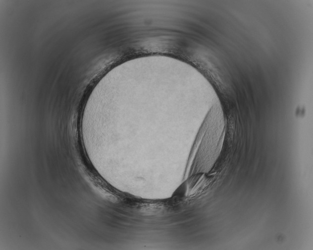 X0000094420398200712061056