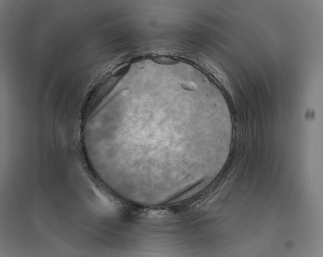 X0000094420401200712061056