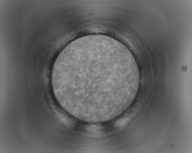 X0000094420402200712061056