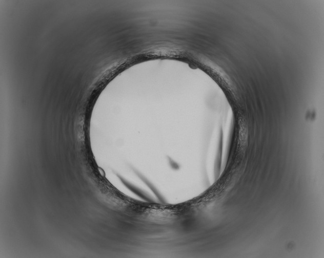 X0000094420403200712061056