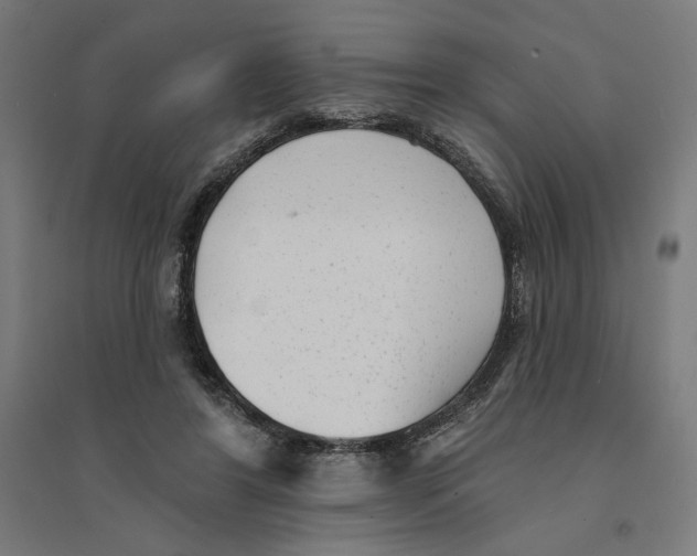 X0000094420404200712061056