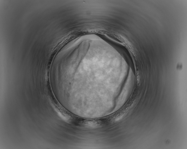 X0000094420405200712061056