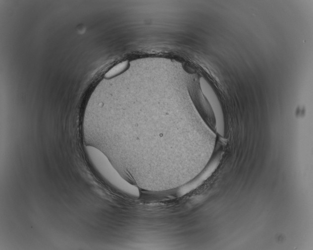 X0000094420407200712061056