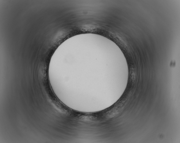 X0000094420408200712061056