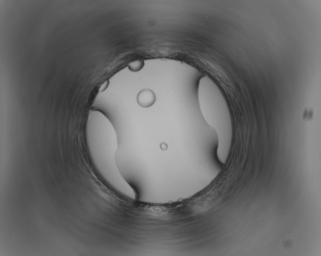 X0000094420409200712061056