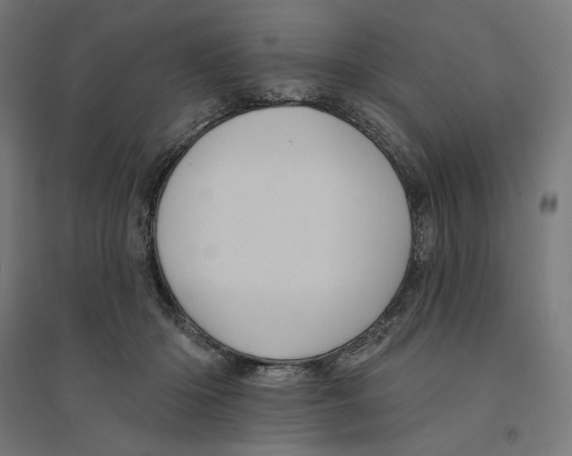 X0000094420414200712061056