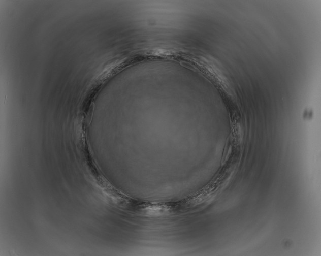 X0000094420415200712061056