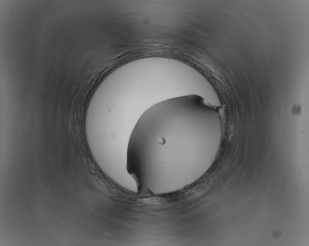 X0000094420417200712061056