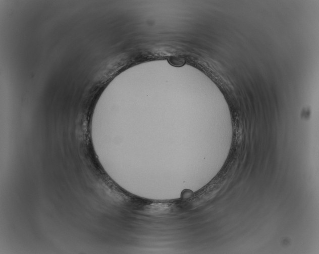 X0000094420418200712061056