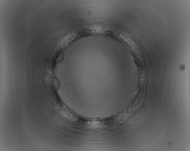 X0000094420419200712061056