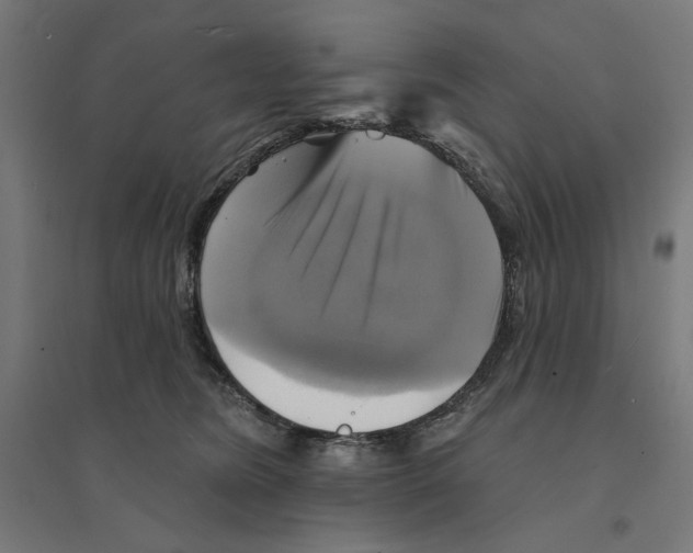 X0000094420420200712061056