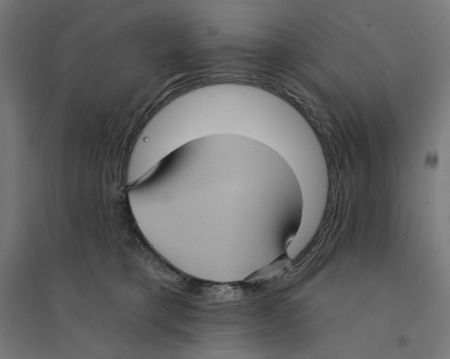 X0000094420421200712061056