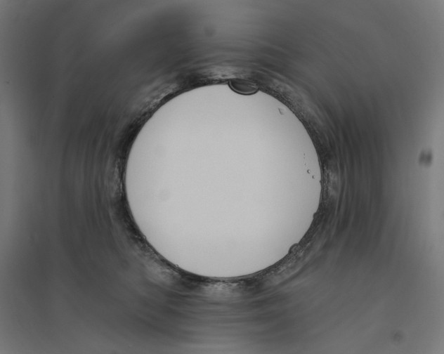 X0000094420422200712061056