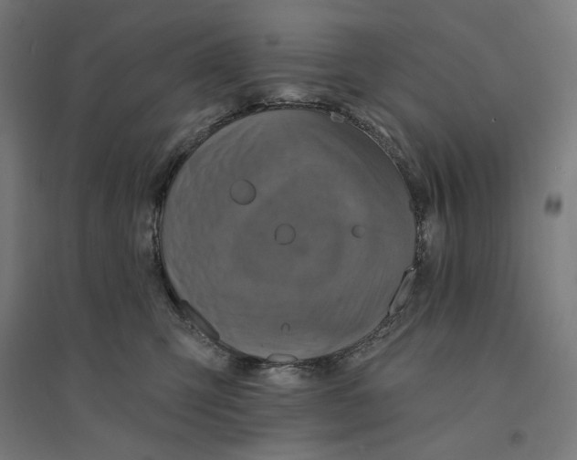 X0000094420423200712061056