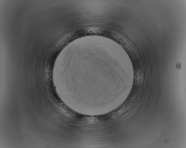 X0000094420424200712061056