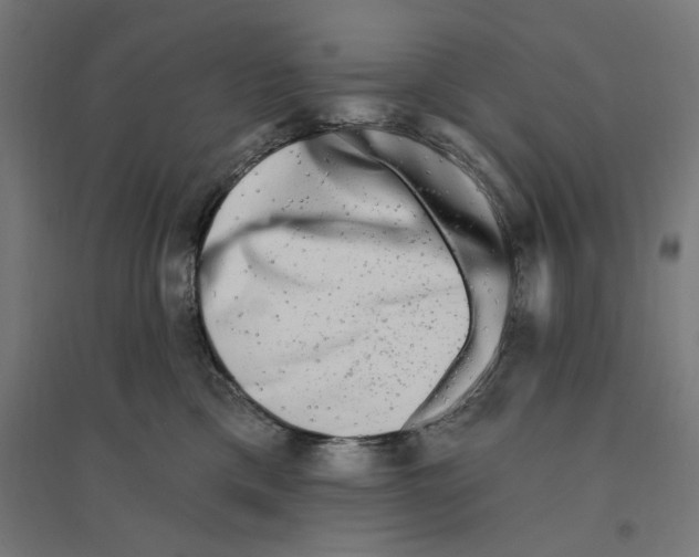 X0000094420425200712061056