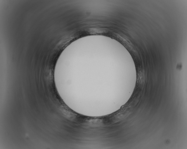 X0000094420426200712061056