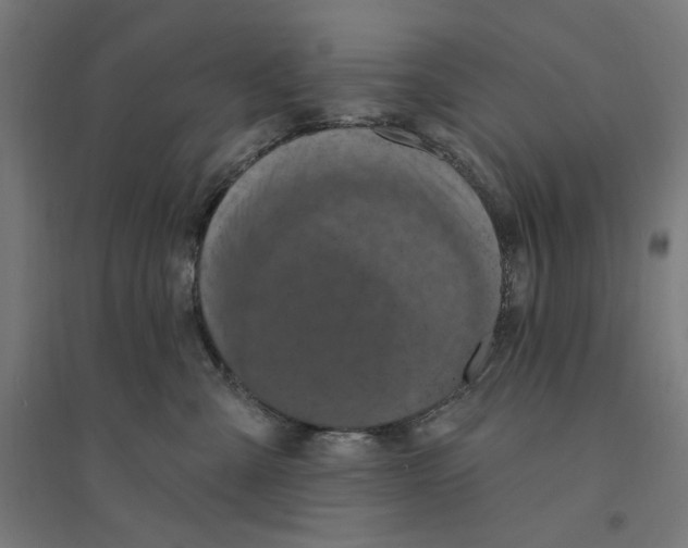 X0000094420427200712061055