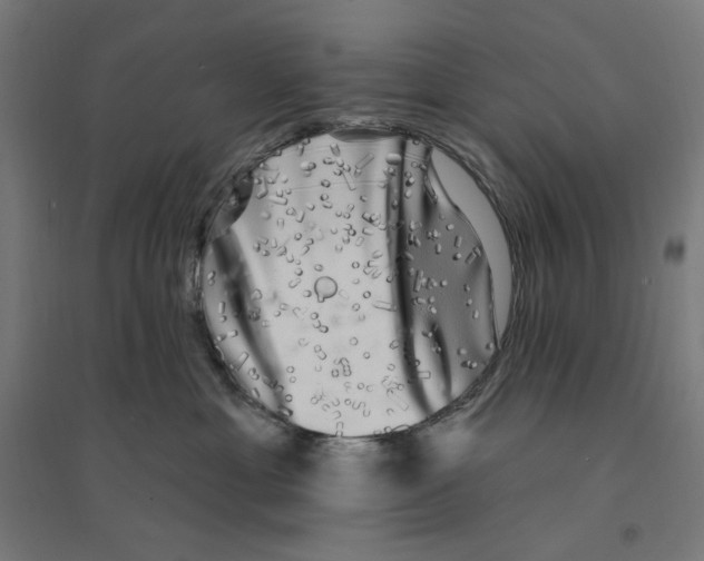 X0000094420429200712061055