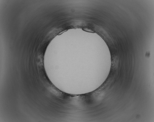 X0000094420430200712061055