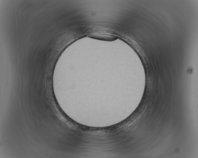 X0000094420433200712061055